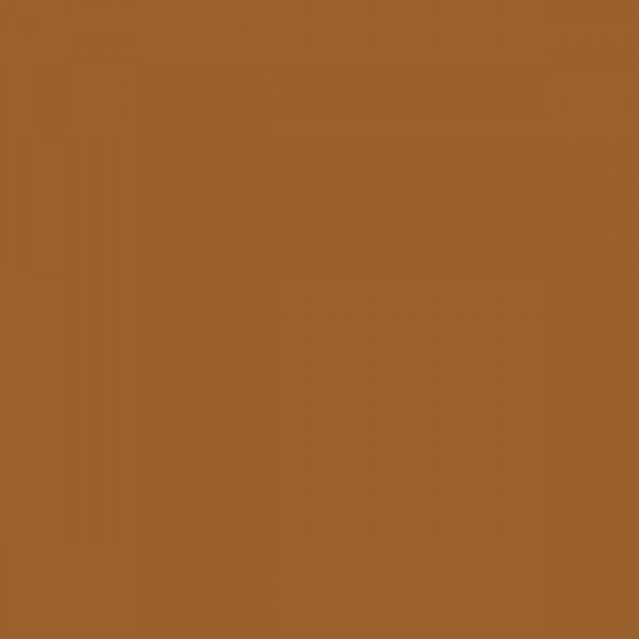 Pintura de Imprimación Ripolin Marrón Satinado