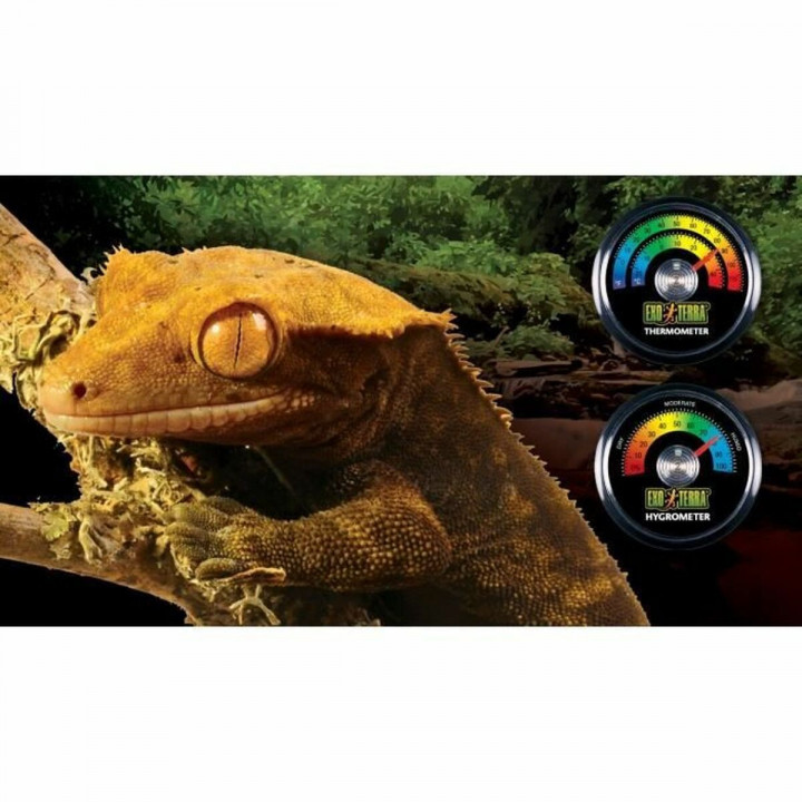 Thermomètre Exo Terra