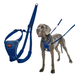 Arnés para Perro Company of Animals COBALT Azul L