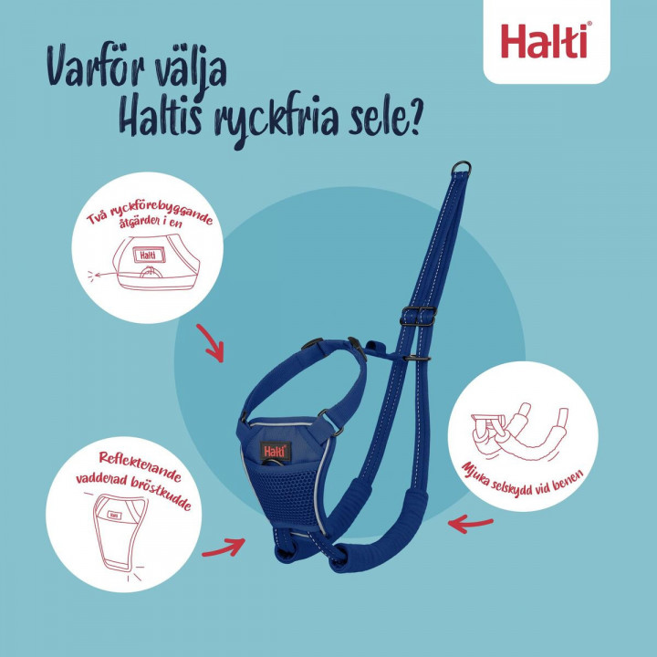 Hundegeschirr Company of Animals COBALT Blau L