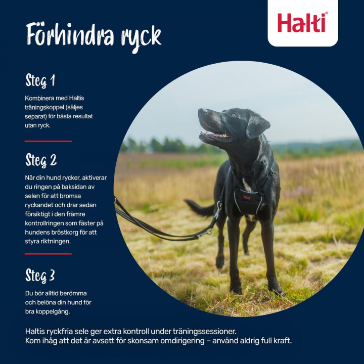 Hundegeschirr Company of Animals COBALT Blau L