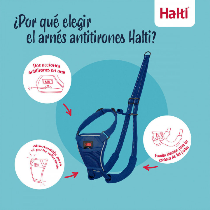 Harnais pour Chien Company of Animals COBALT Bleu L