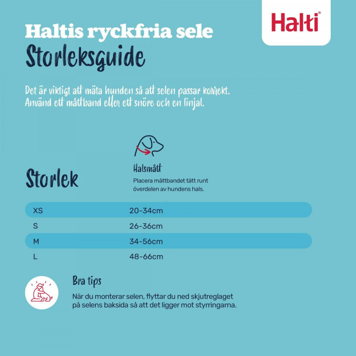 Arnés para Perro Company of Animals Blue 20