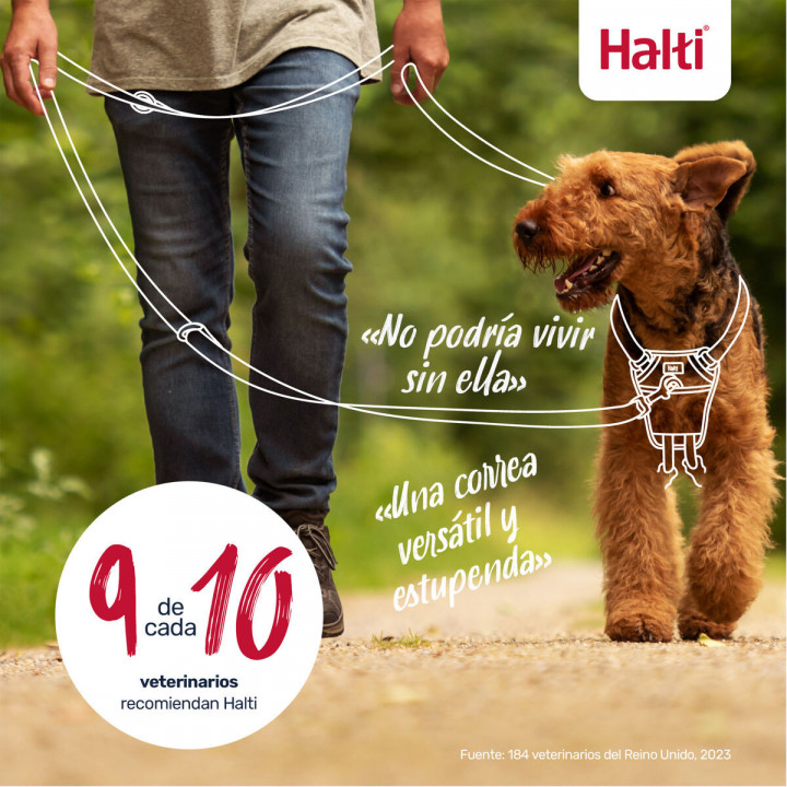 Laisse de suivi Company of Animals Blue