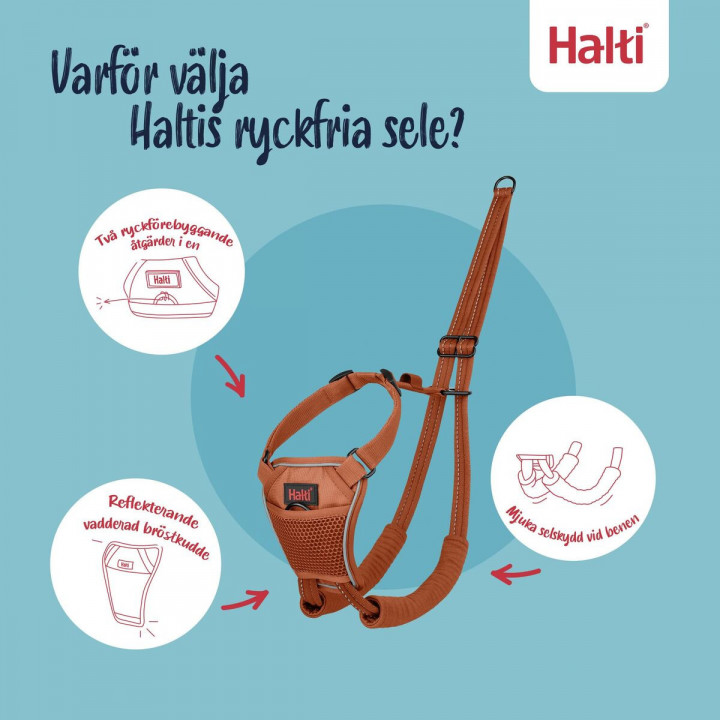 Hondentuigje Company of Animals Orange 20