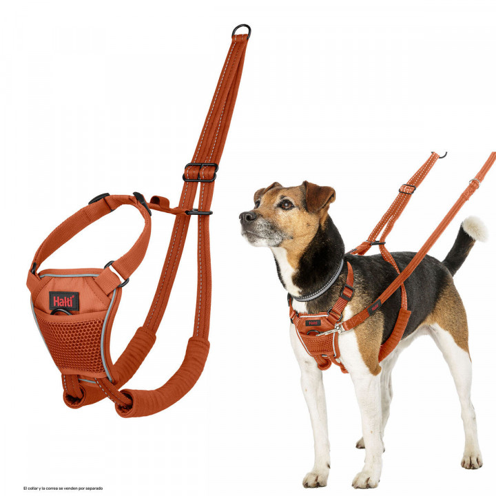 Imbracatura per Cani Company of Animals Orange 20