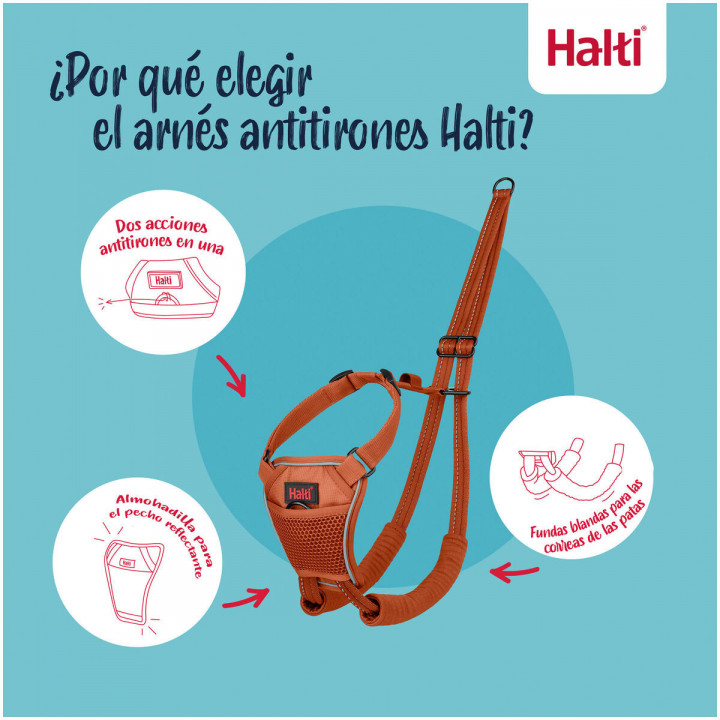 Harnais pour Chien Company of Animals Orange 20