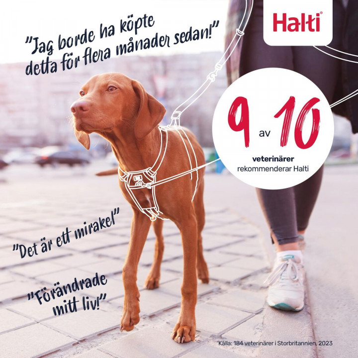 Hondentuigje Company of Animals FOREST Groen L