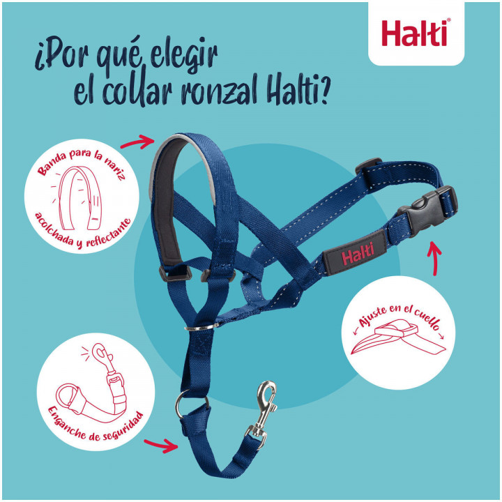 Bozal Company of Animals COBALT Azul 4