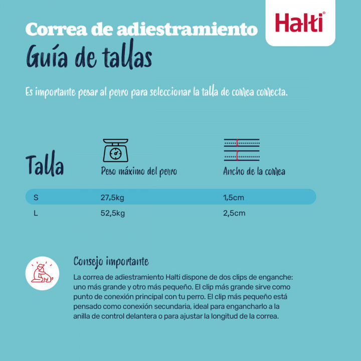 Tracking-Leine Company of Animals grün