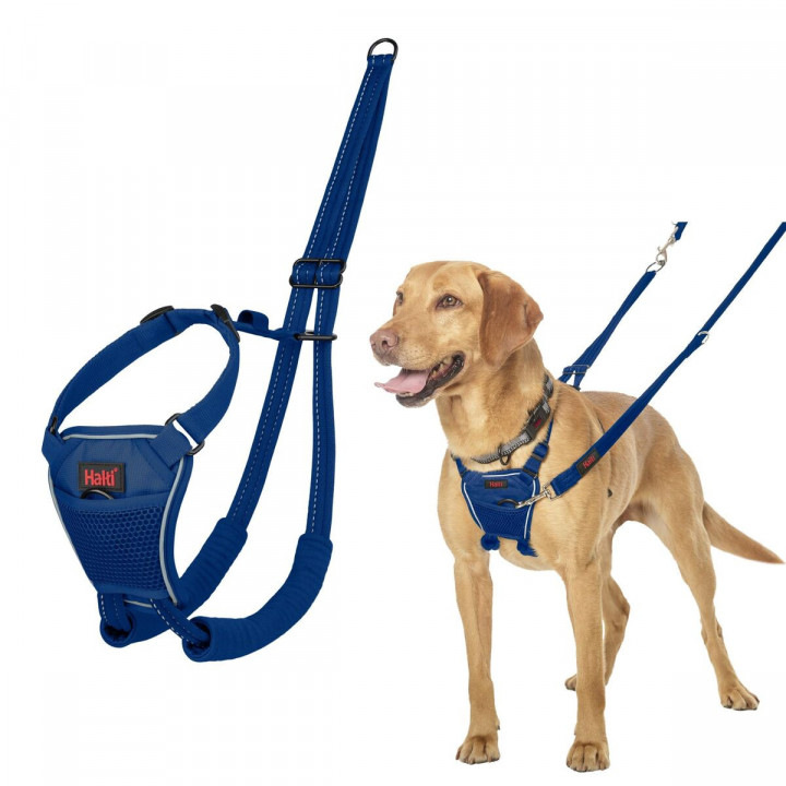 Harnais pour Chien Company of Animals COBALT Bleu 12