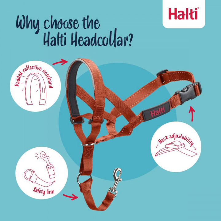 Bozal Company of Animals BURNT Naranja Talla 1