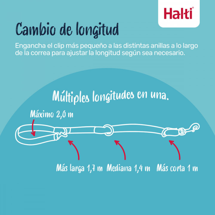 Tracking leash Company of Animals Green