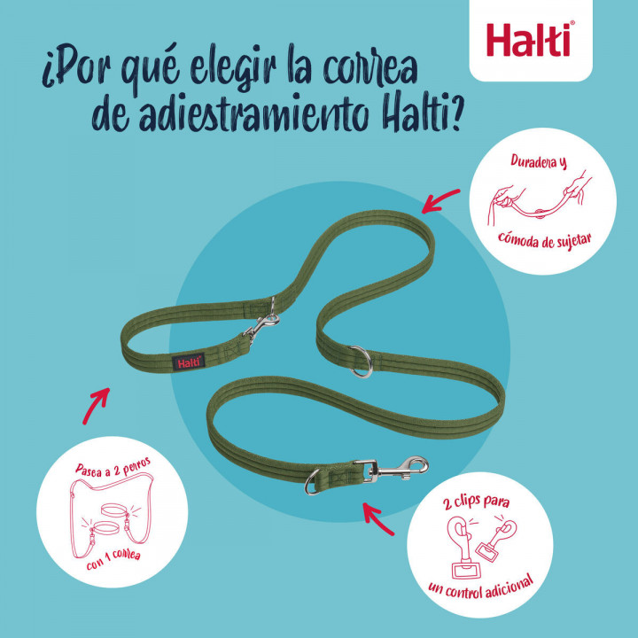 Tracking leash Company of Animals Green