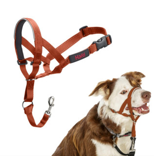 Muzzle Company of Animals BURNT Orange 2