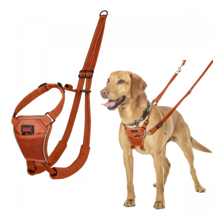 Hundegeschirr Company of Animals BURNT Orange 12