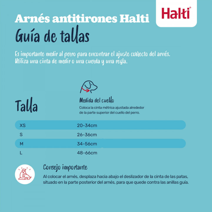 Hundegeschirr Company of Animals BURNT Orange 12