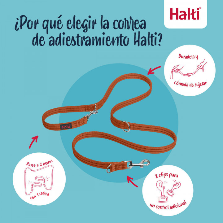 Tracking leash Company of Animals Orange