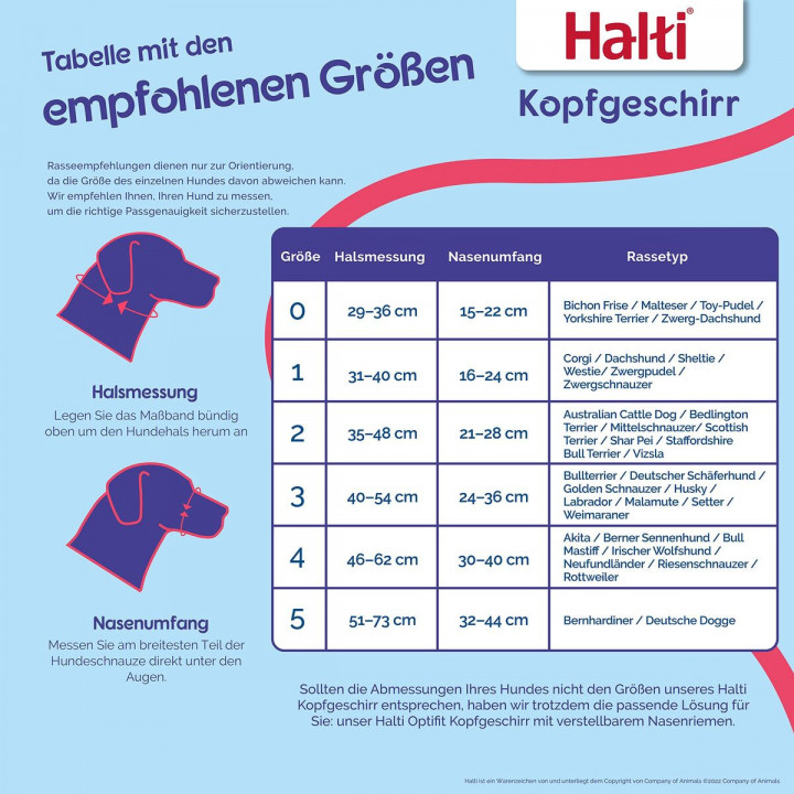 Museruola Company of Animals BURNT Arancio 3