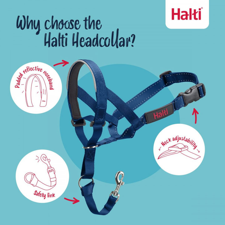 Bozal Company of Animals COBALT Azul 3