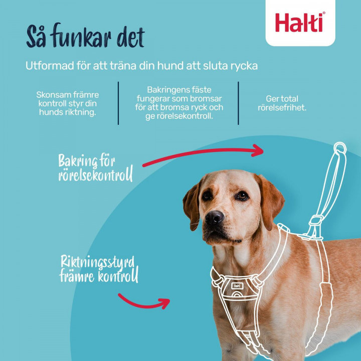 Hondentuigje Company of Animals FOREST Groen 12