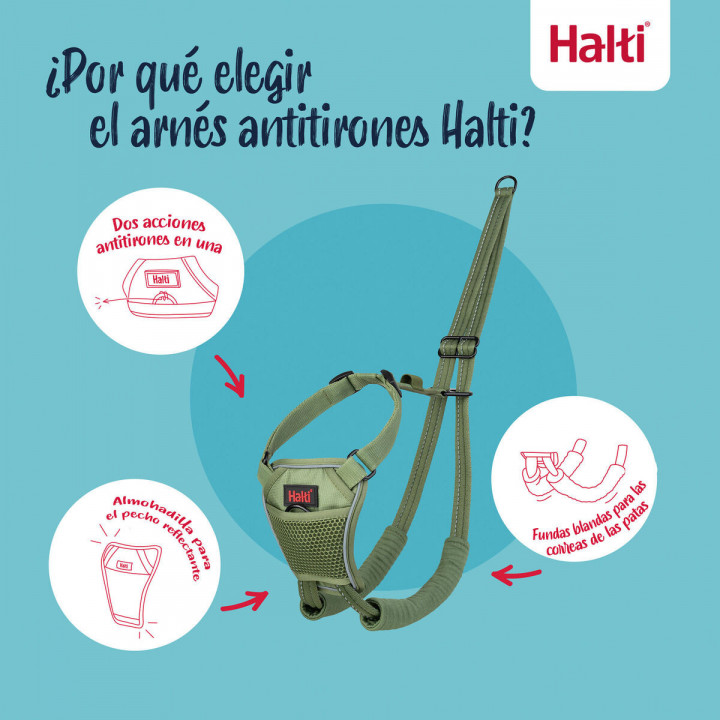 Imbracatura per Cani Company of Animals FOREST Verde 12