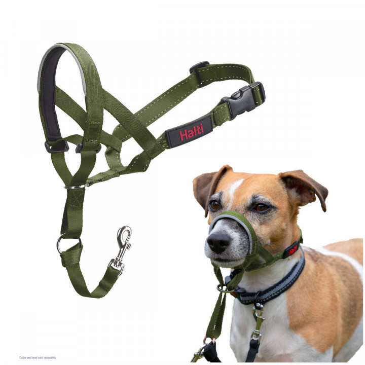 Bozal Company of Animals FOREST Verde Talla 1