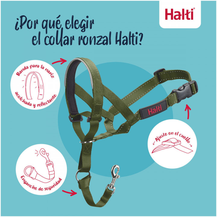 Bozal Company of Animals FOREST Verde Talla 1