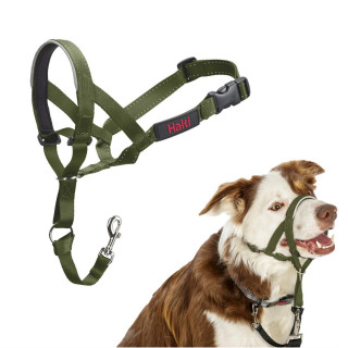 Muzzle Company of Animals FOREST Green 2