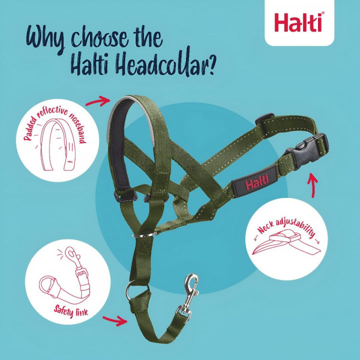 Muzzle Company of Animals FOREST Green 2