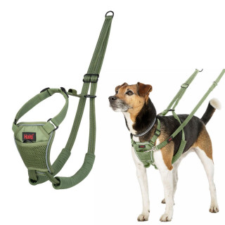 Dog Harness Company of Animals FOREST Green 20