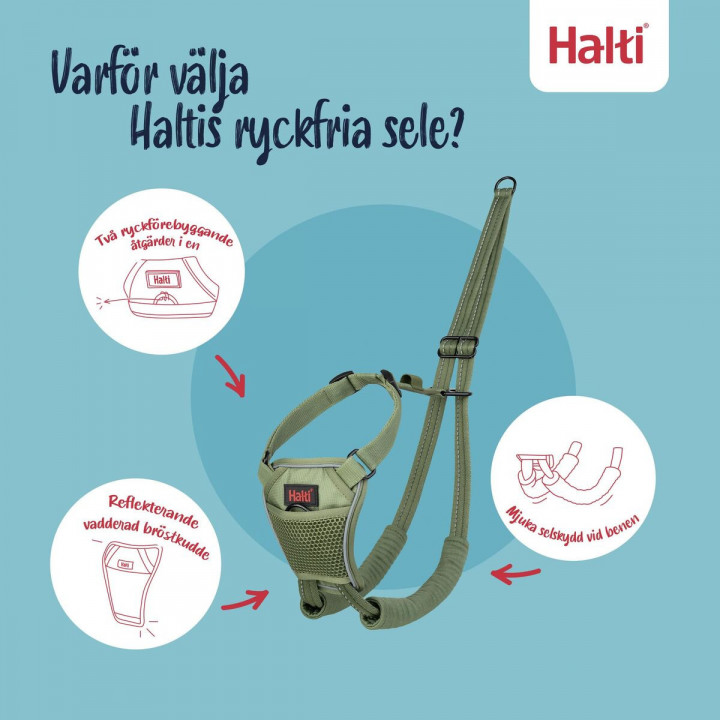 Harnais pour Chien Company of Animals FOREST Vert 20