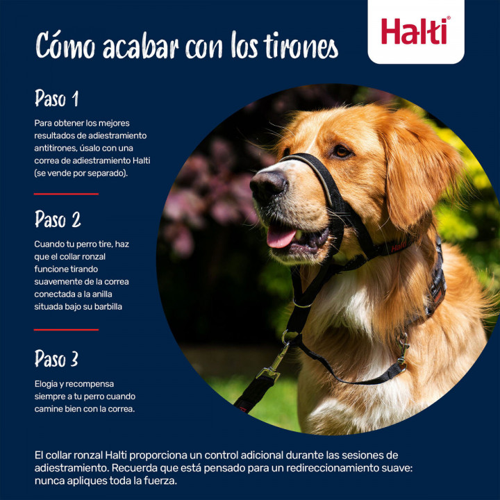 Bozal Company of Animals COBALT Azul Talla 1