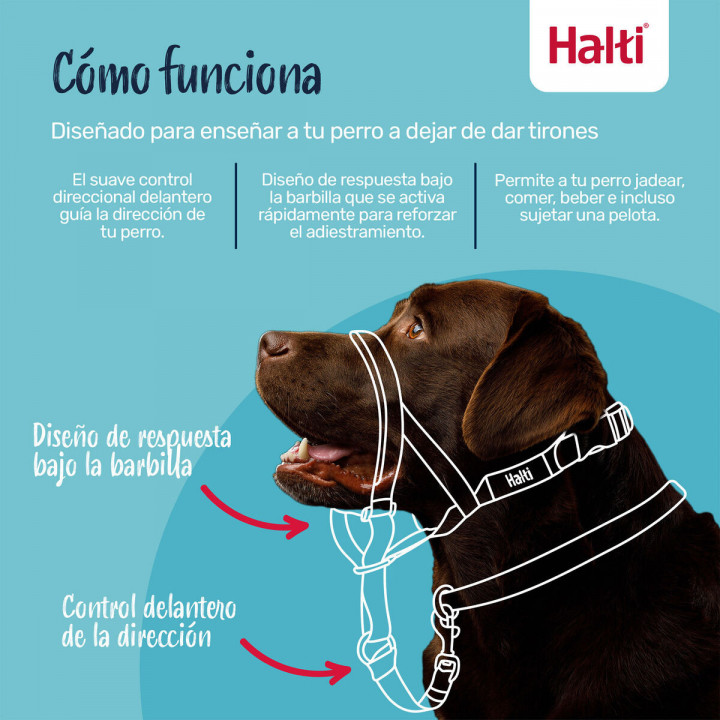 Bozal Company of Animals COBALT Azul Talla 1