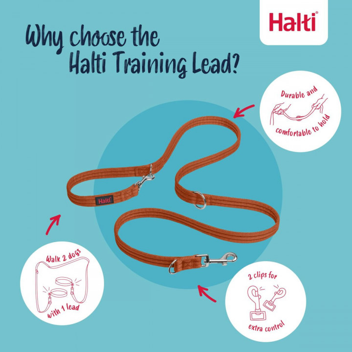 Training lead Company of Animals BURNT Orange