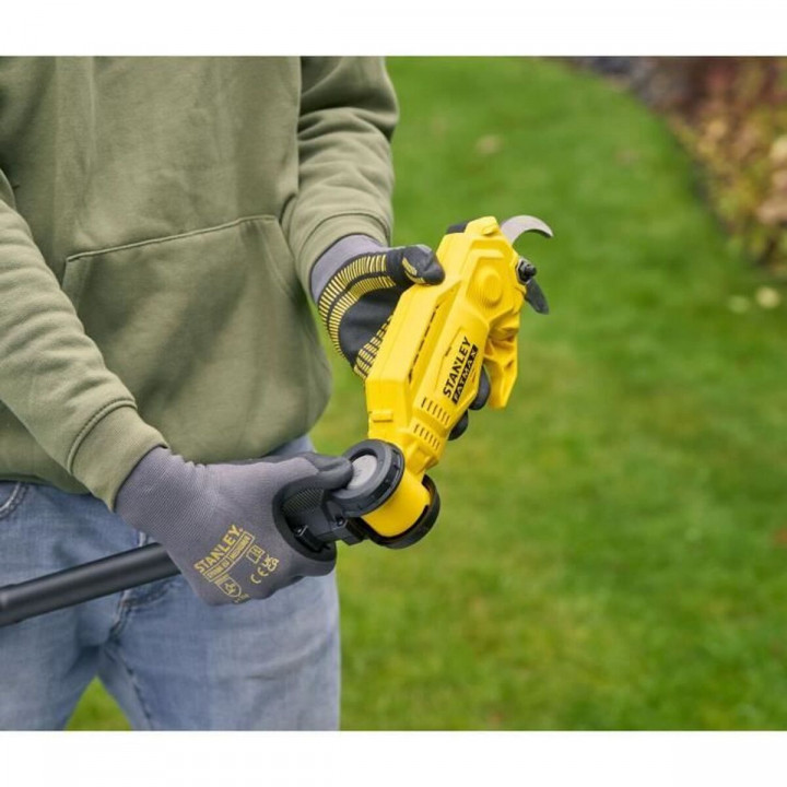 Tagliabordi Stanley 4 Ah