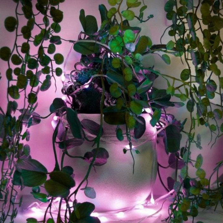 LED-lichtkrans Muvit iO 5 m