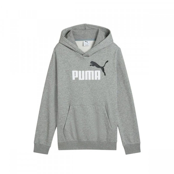 Jungen Sweater mit Kapuze Puma Essentials 2 Color No.1 Grau