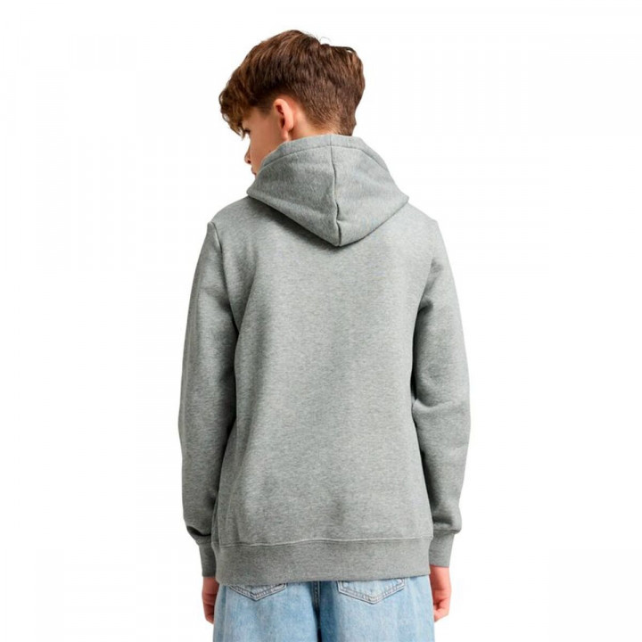 Children’s Hoodie Puma Essentials 2 Color No.1 Grey