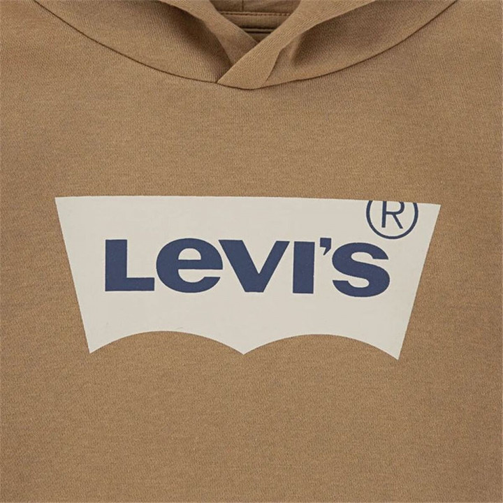 Sweat à capuche enfant Levi's Lvb Batwing Screenprint Hoodie Marron