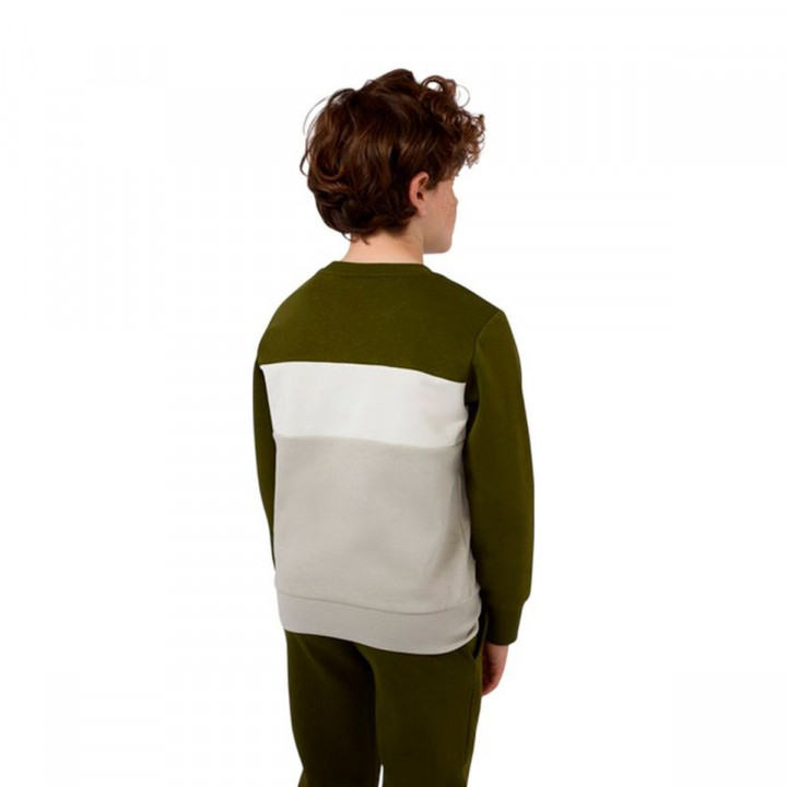 Children’s Sweatshirt without Hood Champion Icons Plus Green Olive