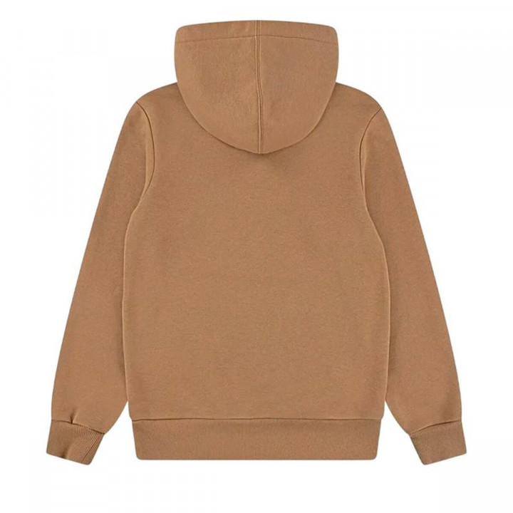 Jungen Sweater mit Kapuze Levi's Batwing Screenprint Hoodie Braun