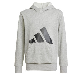 Hooded Sweatshirt for Girls Adidas Big Logo French Terry Hd Light grey