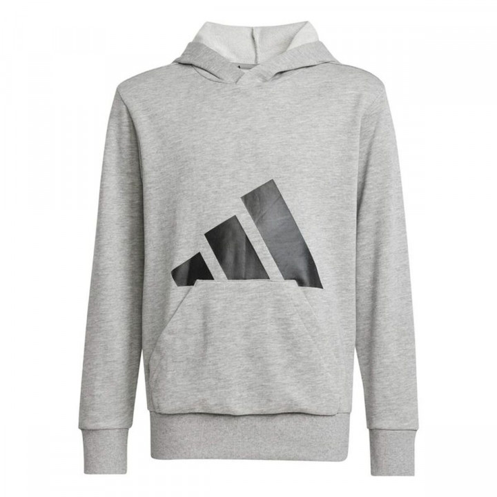 Sweatshirt met Capuchon voor Meisjes Adidas Big Logo French Terry Hd Lichtgrijs