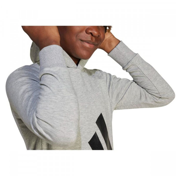 Sweatshirt mit Kapuze für Mädchen Adidas Big Logo French Terry Hd Hellgrau