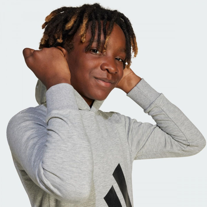 Sweatshirt mit Kapuze für Mädchen Adidas Big Logo French Terry Hd Hellgrau