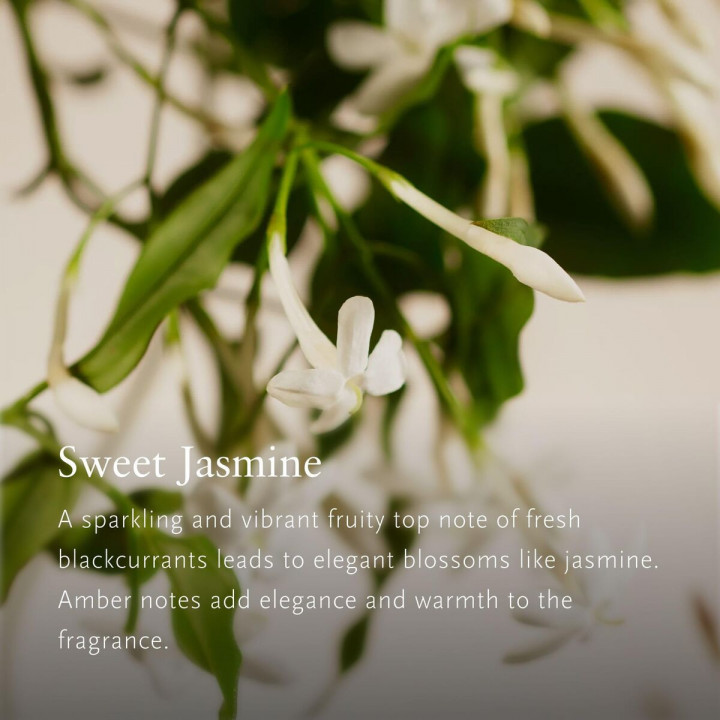 Deodorante per Ambienti Rituals PRIVATE COLLECTION