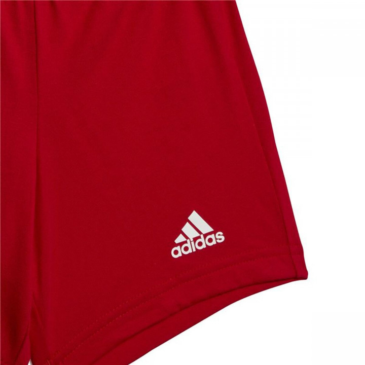 Conjunto Deportivo para Niños Adidas Essentials Organic Cotton Multicolor