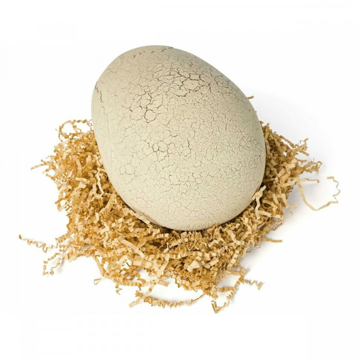 Dinosauro Jurassic World T-Rex