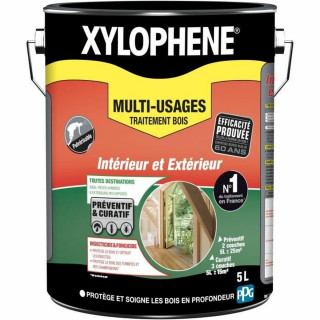 Primer Paint Xylophene White Transparent 5 L